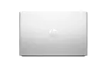 Ноутбук HP ProBook 455 G10 (719F8AV_V1)