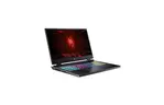 Ноутбук Acer Nitro 17 AN17-41-R5B4 (NH.QL1EU.005)
