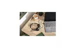 Наушники Jabra Evolve2 30 USB-C MS Stereo (23089-999-879)