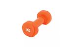 Гантель PowerPlay 4125 Achilles 1 кг Оранжевая (PP_4125_1kg)