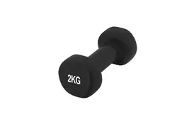 Гантель PowerPlay 4125 Achilles 2 кг Чорна (PP_4125_2kg) - Фото
