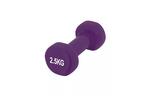 Гантель PowerPlay 4125 Achilles 2.5 кг Фиолетовая (PP_4125_2.5kg)