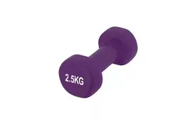 Гантель PowerPlay 4125 Achilles 2.5 кг Фіолетова (PP_4125_2.5kg) - Фото