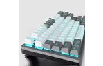 Клавиатура Aula F3287 Keycap KRGD Blue USB RU White/Grey (6948391240688)