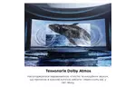 Телевизор TCL 55P735