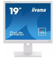 Монитор iiyama B1980D-W5