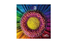 Весы напольные Monte MT-6011-8 - Фото