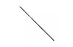 Удилище Brain fishing Classic Strong Bolo 6.00m 10-30g (1858.55.01)