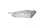 Клавиатура Hator Rockfall 2 Optica TKL Black USB White (HTK-731)