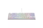 Клавиатура Hator Rockfall 2 Optica TKL Black USB White (HTK-731)