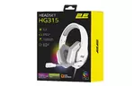 2E Gaming Гарнитура HG315 RGB USB 7.1 White