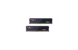 Модуль памяти для компьютера DDR5 48GB (2x24GB) 5600MHz Flare X5 G.Skill (F5-5600J4040D24GX2-FX5) - Фото