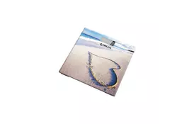 Весы напольные Delfa BS3030 Summer - Фото