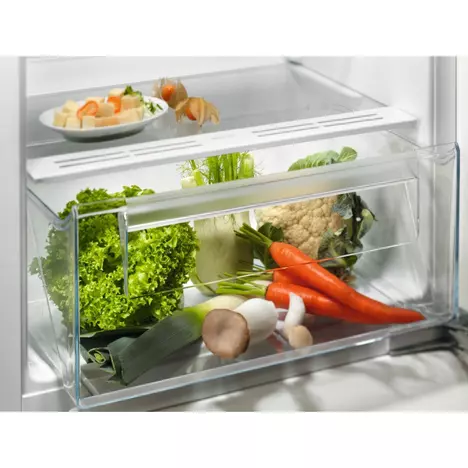 Холодильник Electrolux LFB3AE12S1 - Фото 1