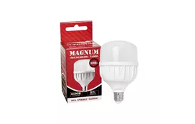 Лампочка MAGNUM BL 80 30w E27 6500K (90015907) - Фото