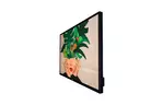 Монитор Philips 32BDL4511D/00