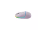 Мышка Canyon MW-22 Dual Band RGB Wireless Pearl Rose (CNS-CMSW22PR)