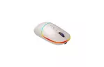 Мышка Canyon MW-22 Dual Band RGB Wireless Rice (CNS-CMSW22RC)