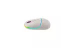 Мышка Canyon MW-22 Dual Band RGB Wireless Rice (CNS-CMSW22RC)