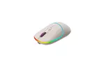 Мышка Canyon MW-22 Dual Band RGB Wireless Rice (CNS-CMSW22RC)