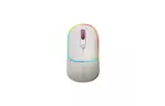 Мышка Canyon MW-22 Dual Band RGB Wireless Rice (CNS-CMSW22RC)