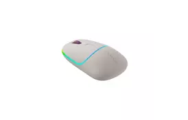 Мышка Canyon MW-22 Dual Band RGB Wireless Rice (CNS-CMSW22RC) - Фото
