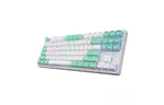 Клавиатура Hator Rockfall 2 Mecha Signature Edition USB White/White/Mint (HTK-521-WWM)