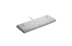 Клавиатура Hator Rockfall 2 Mecha TKL Authentic Edition Aurum Milky Way Silent USB White (HTK-531)