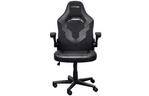 Кресло игровое Trust GXT703 Riye Black (25128)
