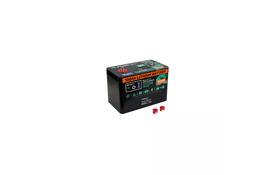 Батарея LiFePo4 PYLONTECH 12.8V-100Ah (RV12100) - Фото