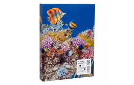 Картридж Barva Epson T01D1 XXL (C13T01D100) 50K black (IC-T01D1) - Фото