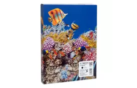 Картридж Barva Epson T9661 XXL (C13T966140) 40K, black (IC-T9661XXL) - Фото