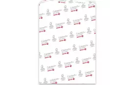 Бумага Xerox COLOTECH + GLOSS (170) 400л. (003R90342) - Фото