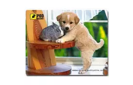 Килимок Pod Mishkou Щеночек - Фото