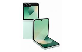 Мобильный телефон Samsung Galaxy Flip6 12/256Gb Mint (SM-F741BLGGSEK) - Фото