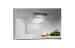 Холодильник Electrolux RNT6TE19S