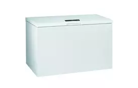 Морозильная камера Gorenje FH 401 IW (FH401IW) - Фото