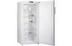 Морозильная камера Gorenje F 6151 AW (F6151AW)