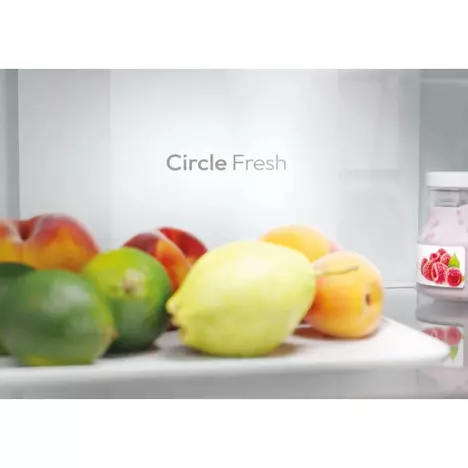 Холодильник Candy CNCQ2T618EB - Фото 5