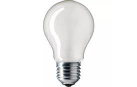 Лампочка PHILIPS E27 40W 230V A55 FR 1CT/12X10F Stan (8711500354686) - Фото