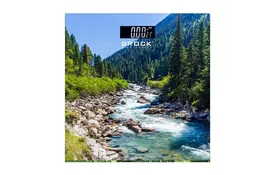 Ваги підлогові Brock BS 004 - Фото