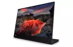 Монитор Lenovo M14t Gen2 (63FDUAT6WL)