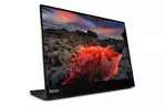 Монитор Lenovo M14t Gen2 (63FDUAT6WL)