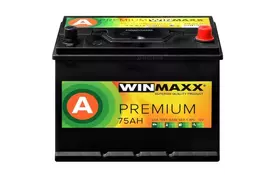 Аккумулятор автомобильный WINMAXX (MonBat) Asia 75A +прав (0) - Фото