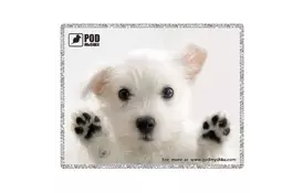 Коврик Pod Mishkou Лапы вверх - Фото