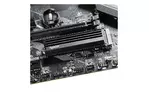 Накопитель SSD M.2 2280 1TB for PS5 Apacer (AP1TBAS2280Q4U5-1)