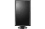 Монитор BENQ RL2455T Dark Grey