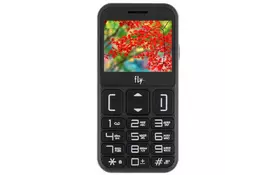 Мобильный телефон Fly EZZY 9 Black - Фото