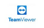Системная утилита TeamViewer !itbrainbackupproduct! Subscription Annual (SITBRAINBACKUP)