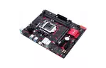 Материнская плата ASUS EX-B360M-V3